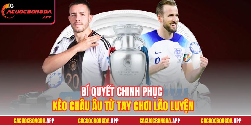Bí quyết chinh phục kèo Châu Âu từ tay chơi lão luyện